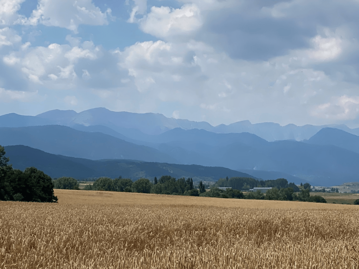 Que faire, comment venir et où loger&nbsp;?